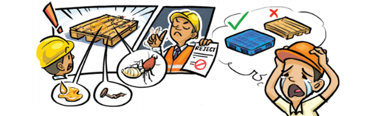 Why plastic pallet over wooden pallet?